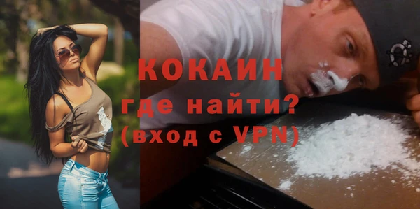 трава Сатка